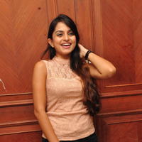 Sheena Shahabadi at Nuvve Naa Bangaram First Look Release Photos | Picture 599528